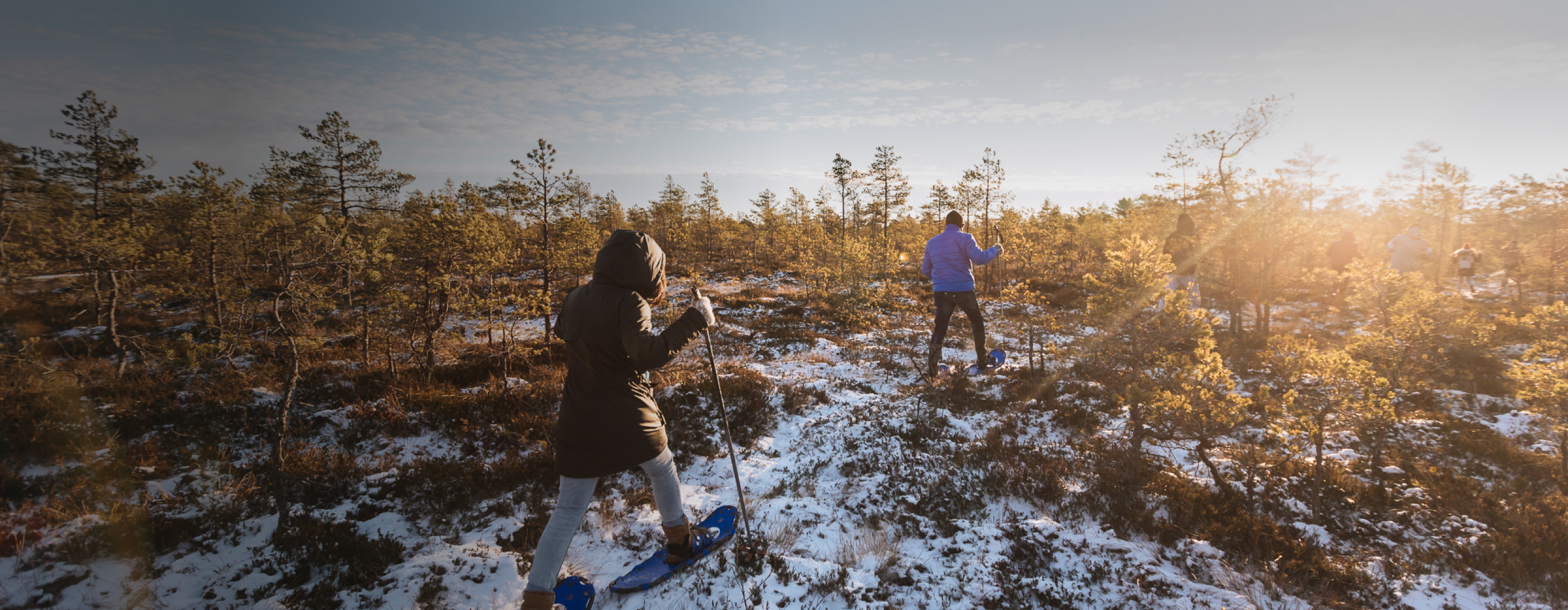 Snowshoe hikes in bogs of Central Estonia-Toosikannu