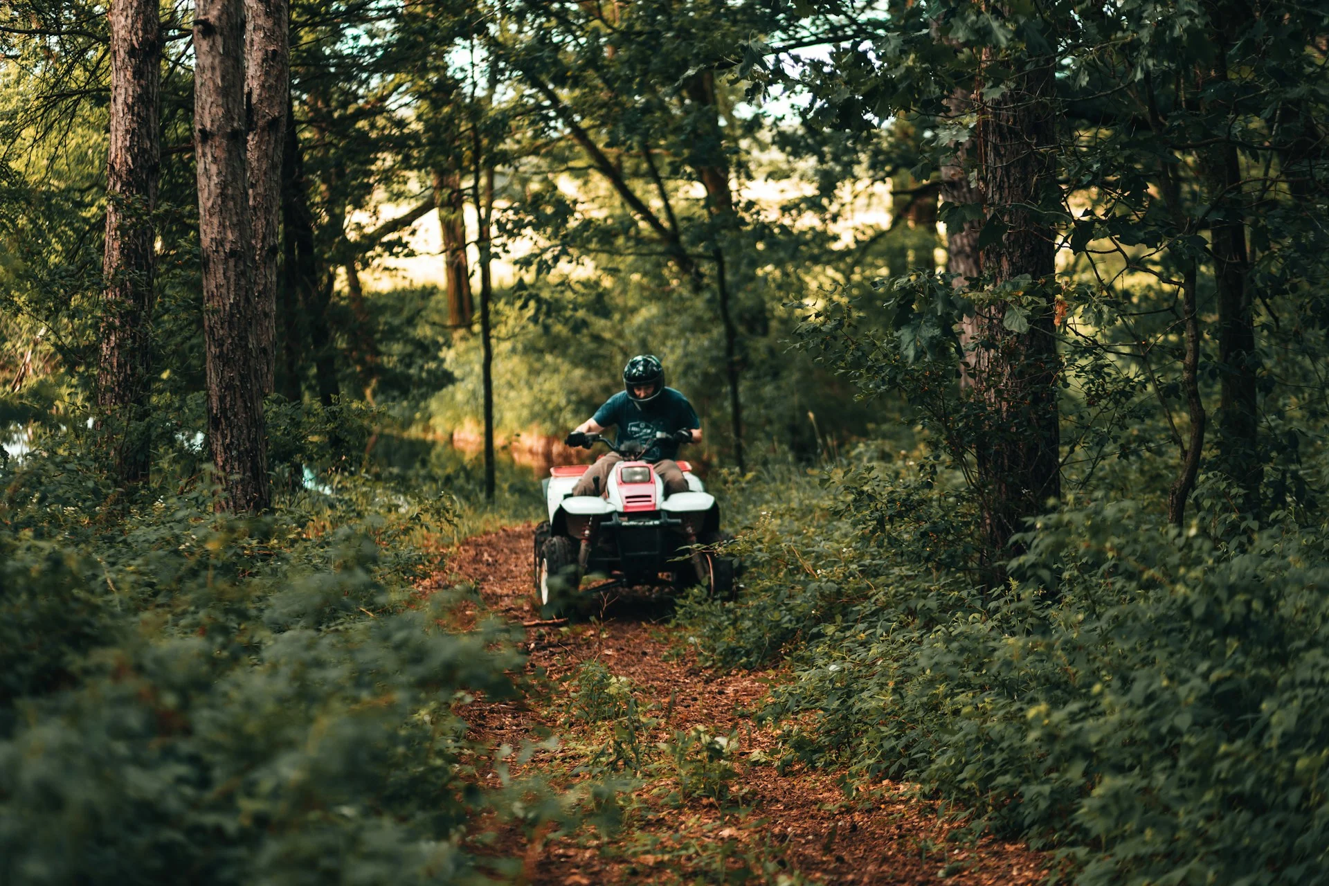 joshua-hanson-zCRzigSZsRs-unsplash