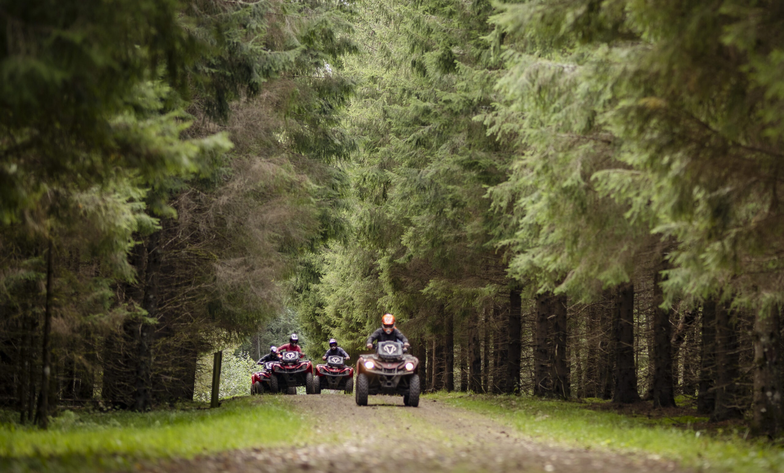 Toosikannu-ATV-metsas-scaled