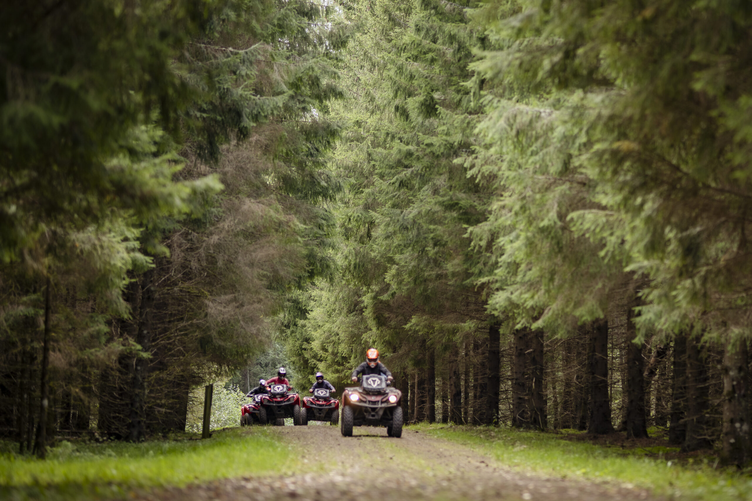 Toosikannu ATV metsas