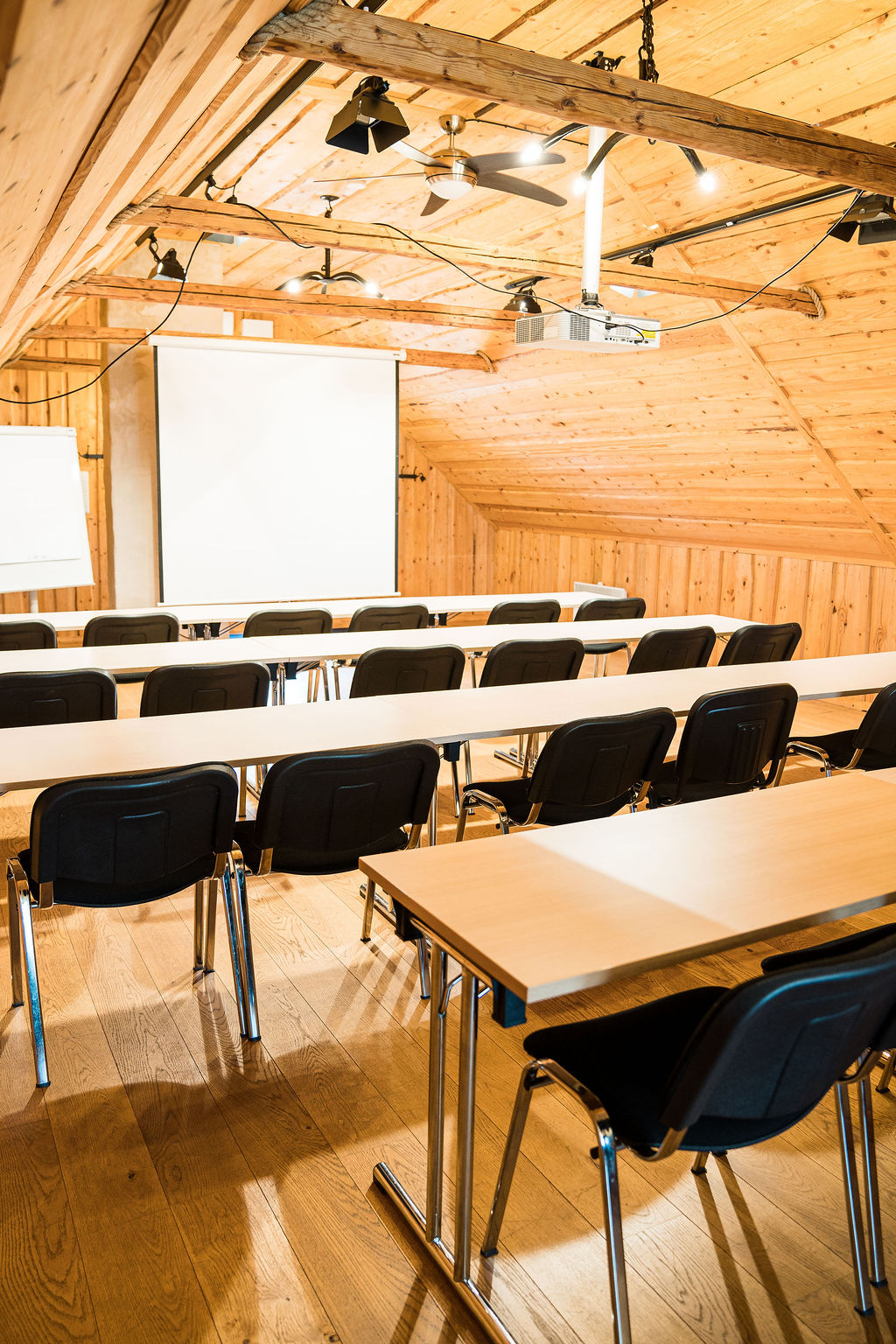 Toosikannu Ale-Sepa seminariruum klassistiilis 2