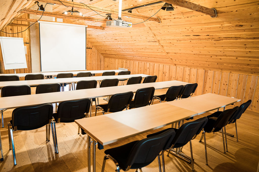 Toosikannu Ale-Sepa seminariruum klassistiilis osaleja vaatest