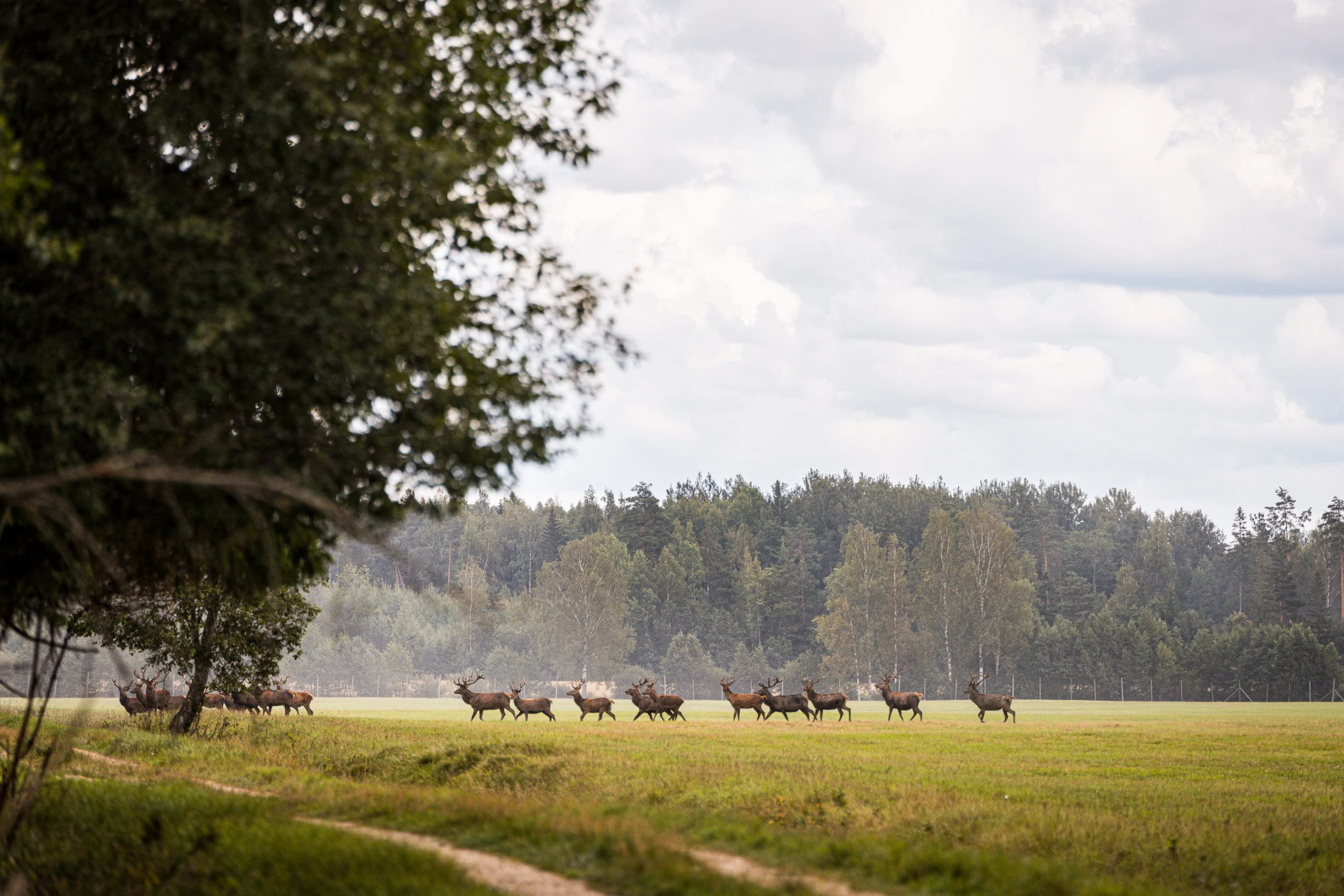 Toosikannu Looduspark loomavaatlus aktiivne puhkus perepuhkus