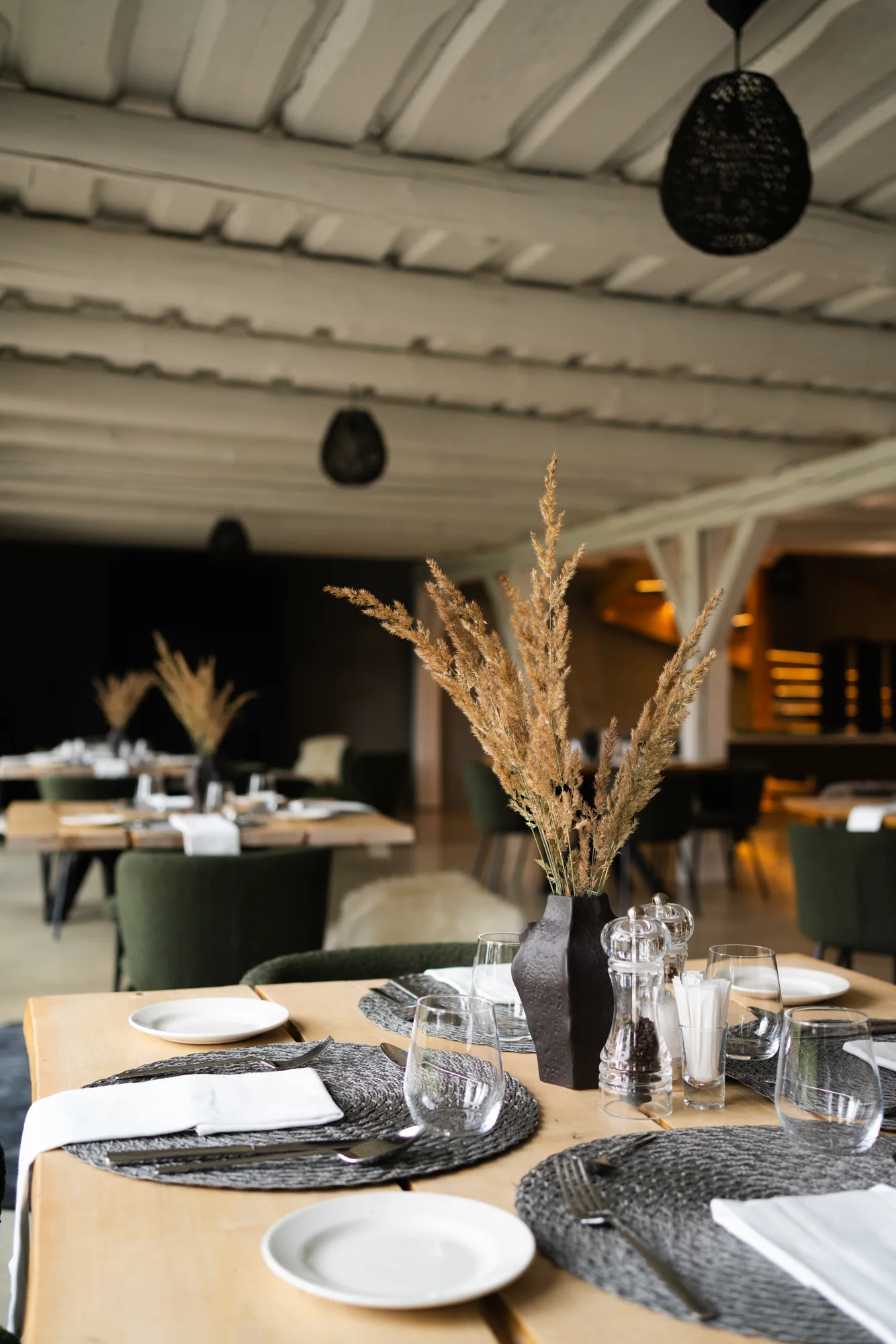 Toosikannu Looduspark kohvik