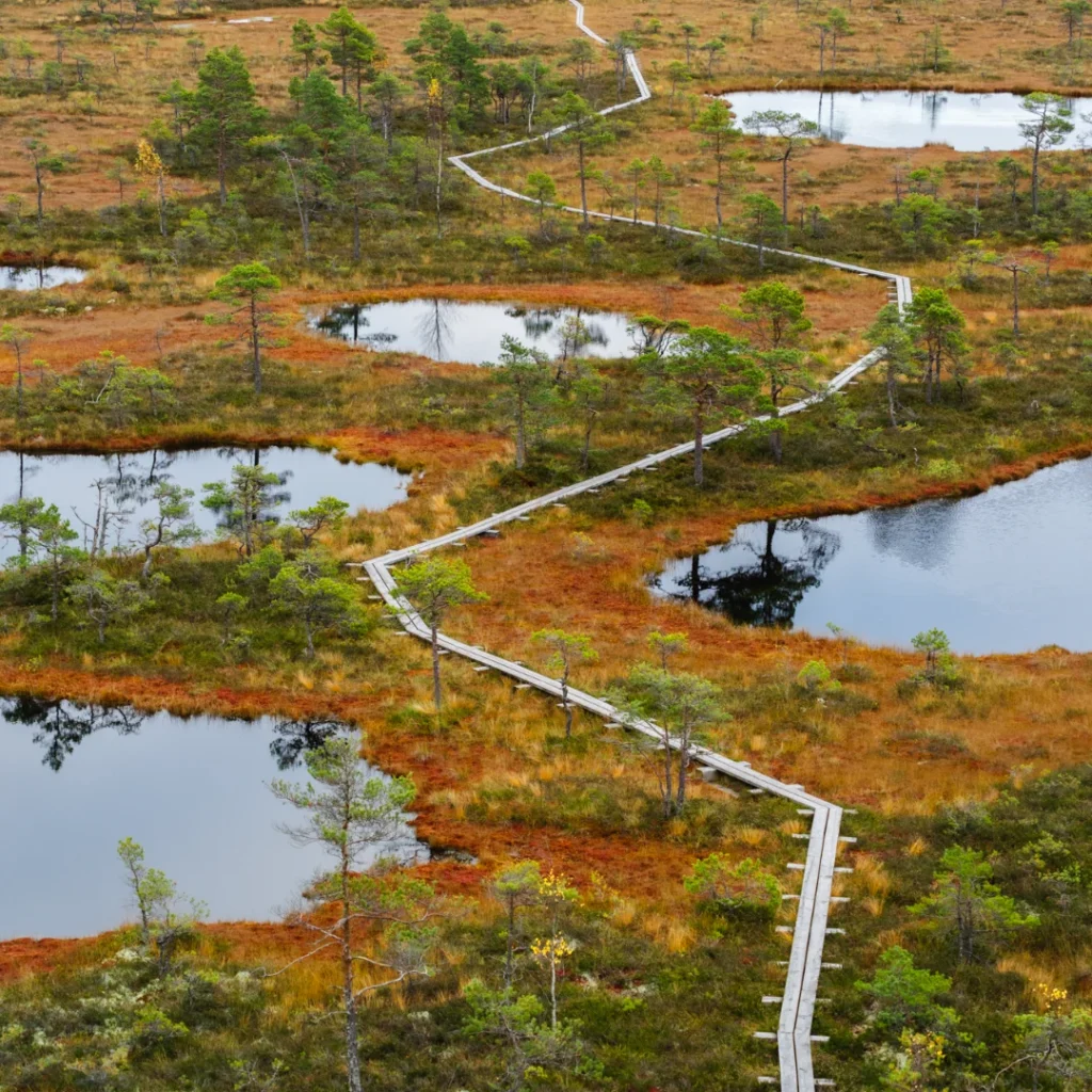 Toosikannu Looduspark loodusmatk, matk, puhkus