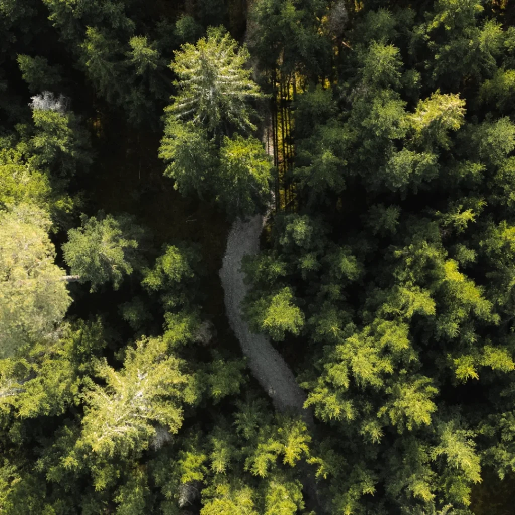 Toosikannu Looduspark loodusmatk, matk, puhkus