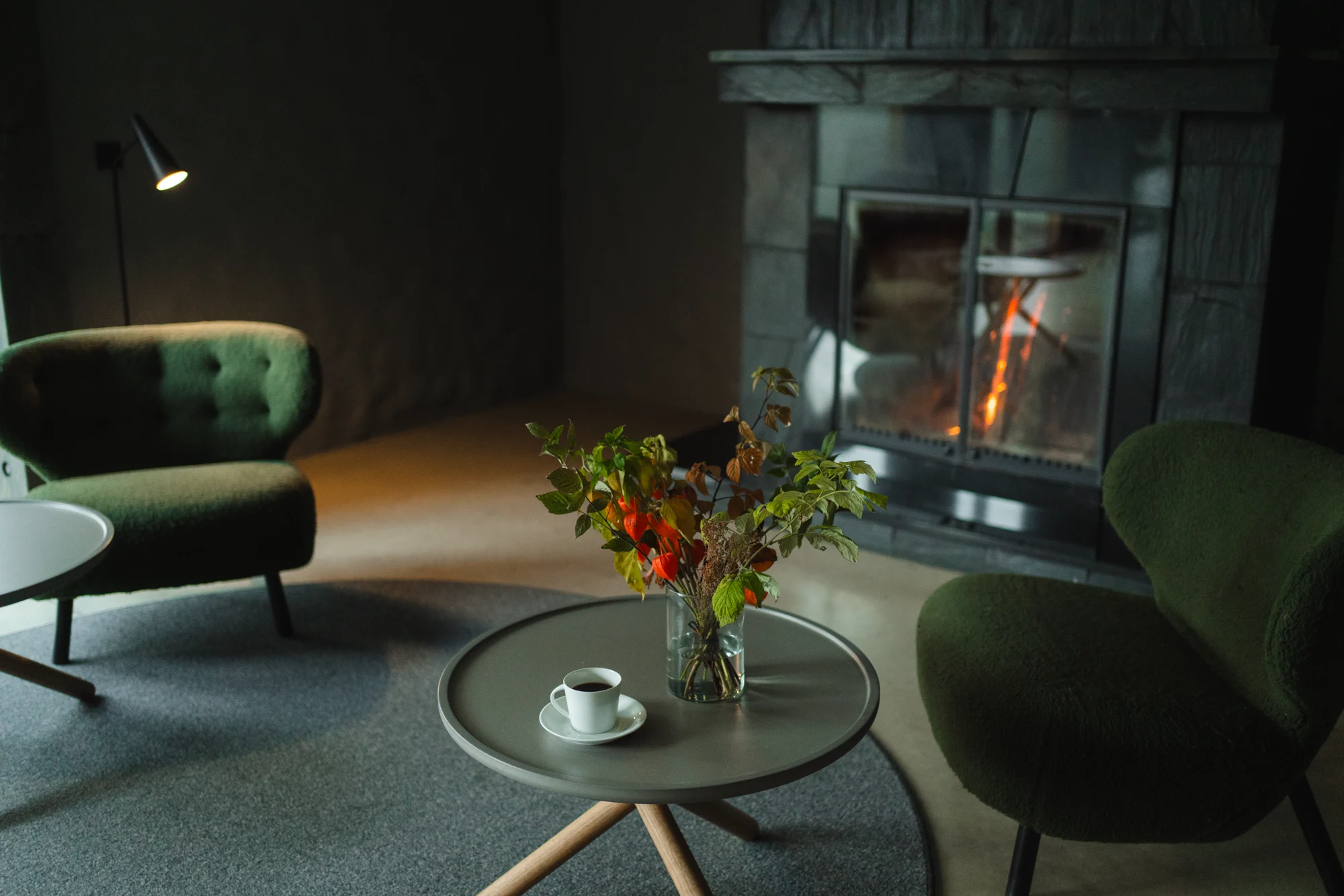 Toosikannu Looduspark hotell