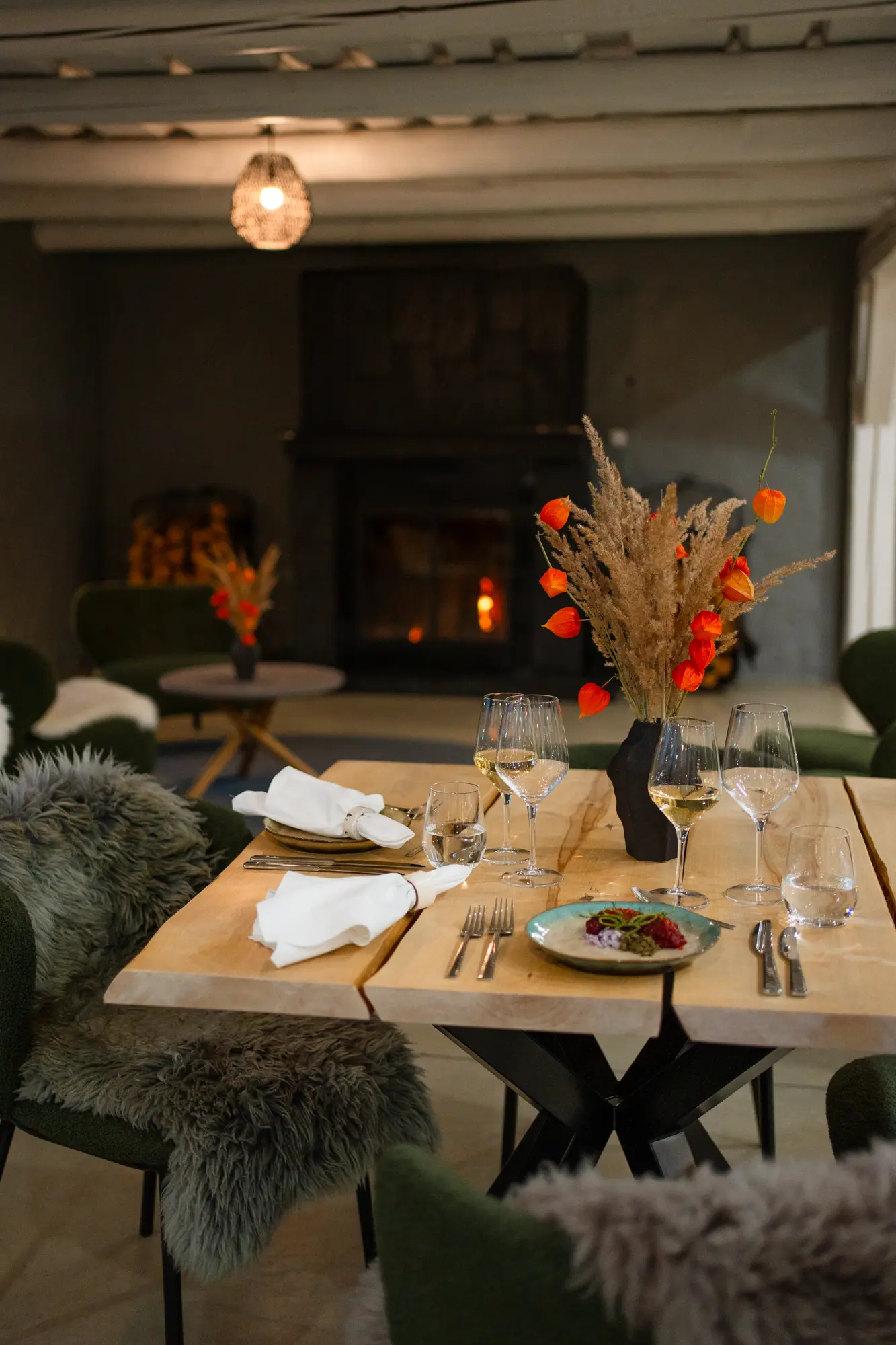 Peakoka õhtusöök Toosikannu Looduspark