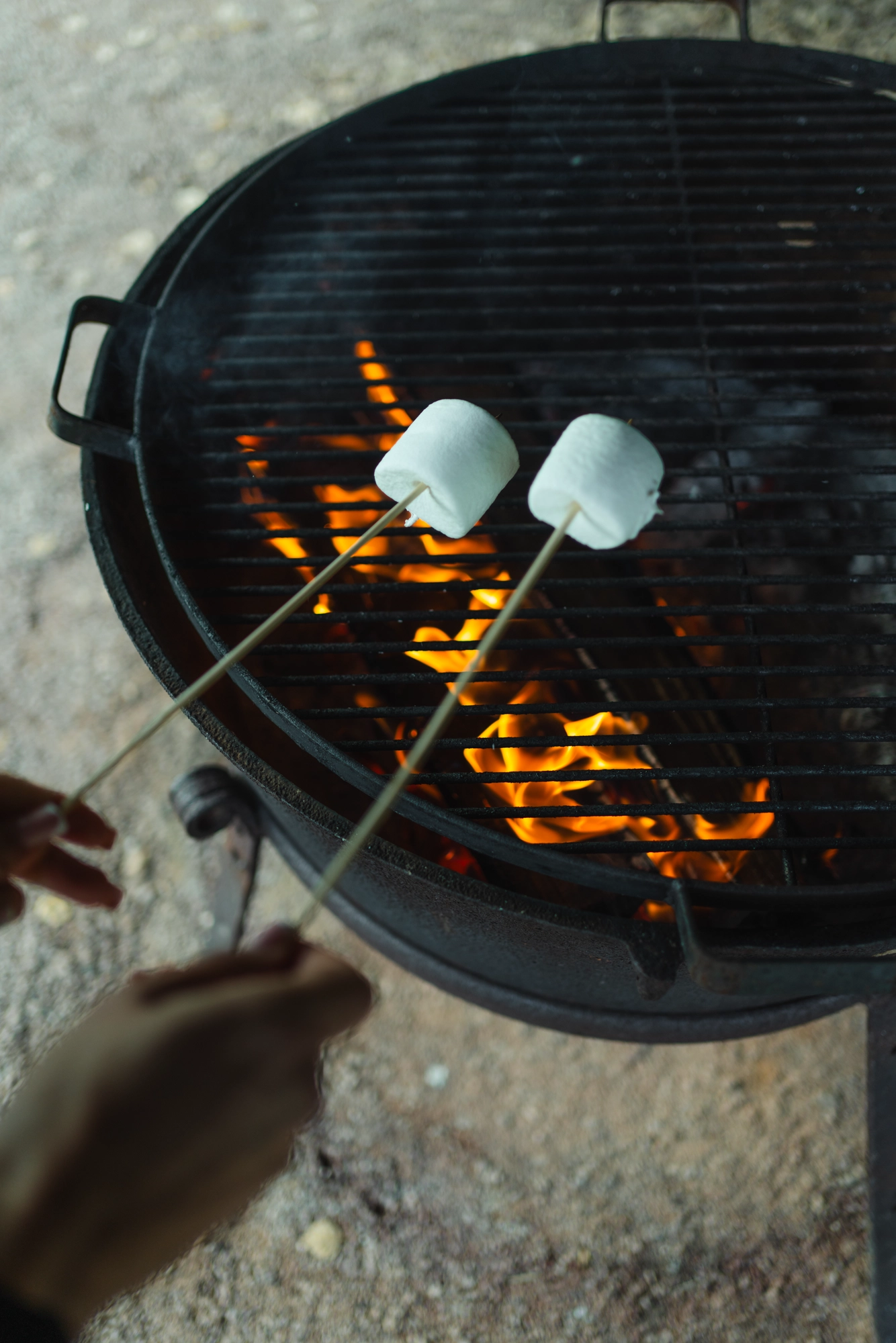 Elamustoitlustus metsagurmee Toosikannu Looduspark