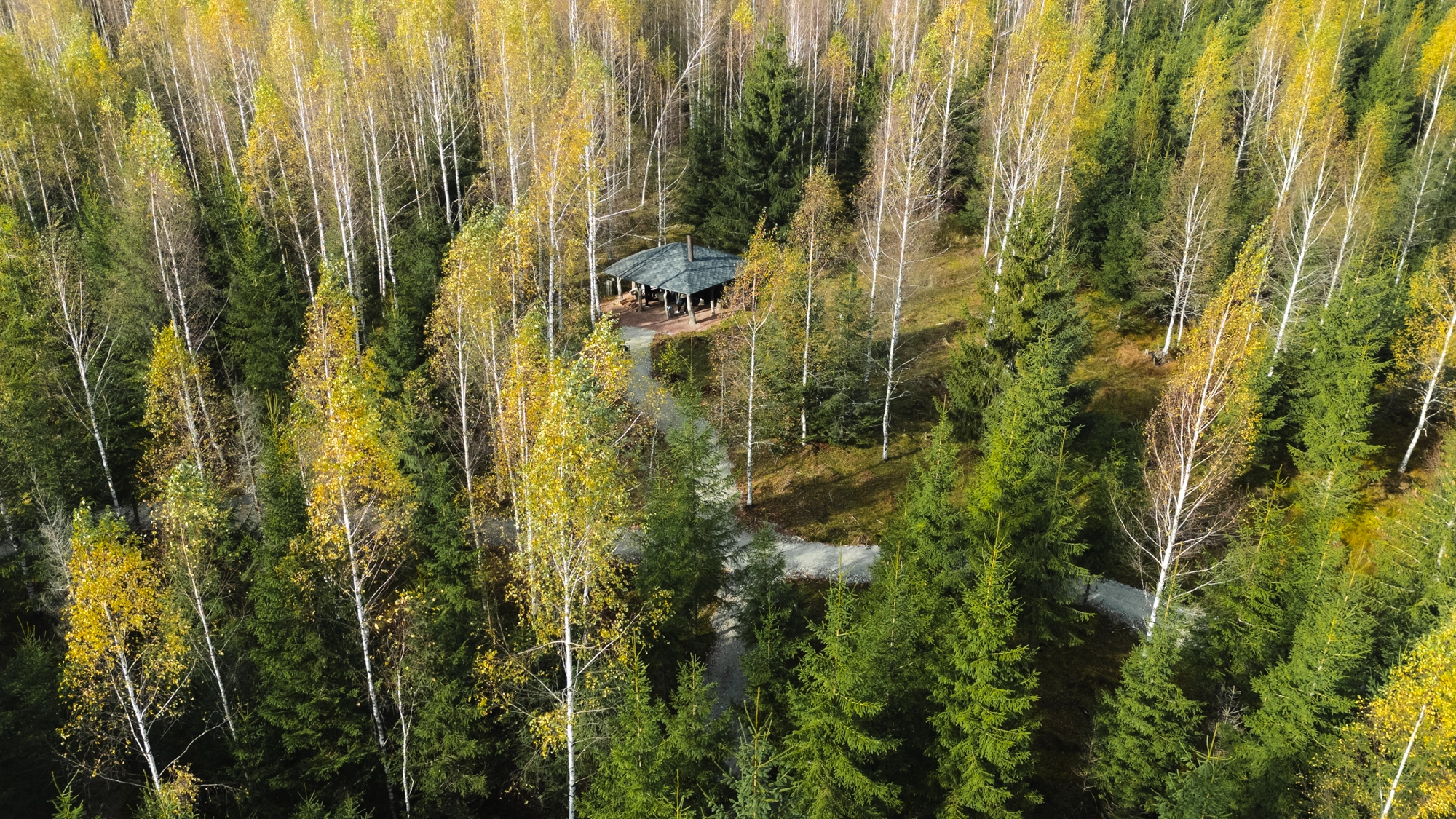 Metsaonn Toosikannu Looduspark