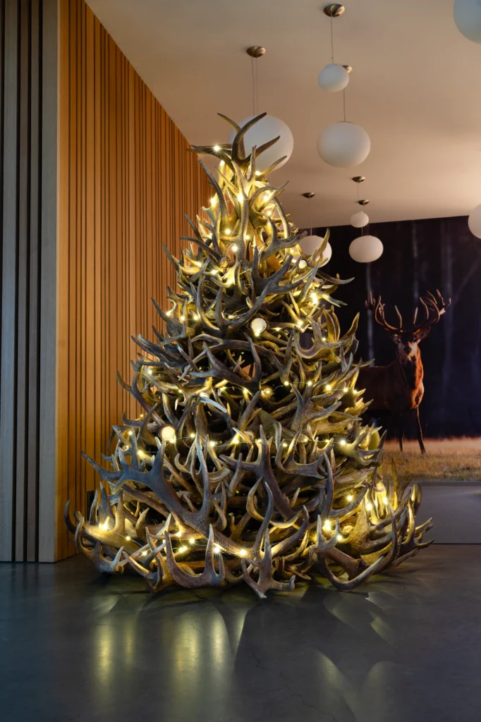 Toosikannu hirvesarve kuusk eriline jõulukuusk