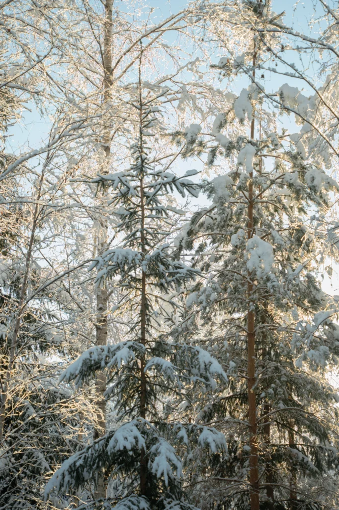 Toosikannu Looduspark talvepuhkus