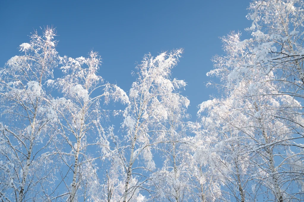 Toosikannu Looduspark talvepuhkus looduspuhkus