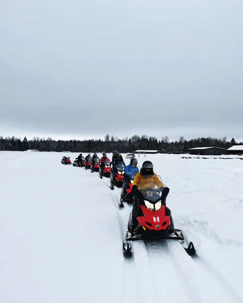 Mootorsaanimatkad Snowmobile tours Toosikannu Looduspark