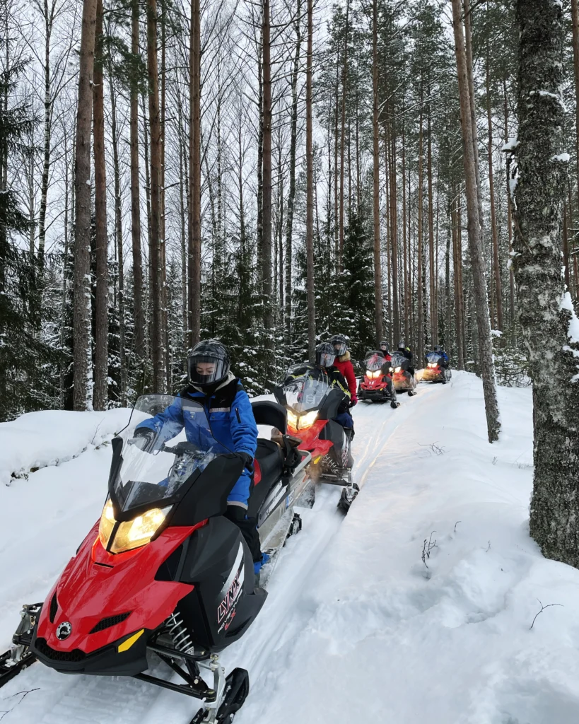 Mootorsaanimatkad Snowmobile tours Toosikannu Looduspark