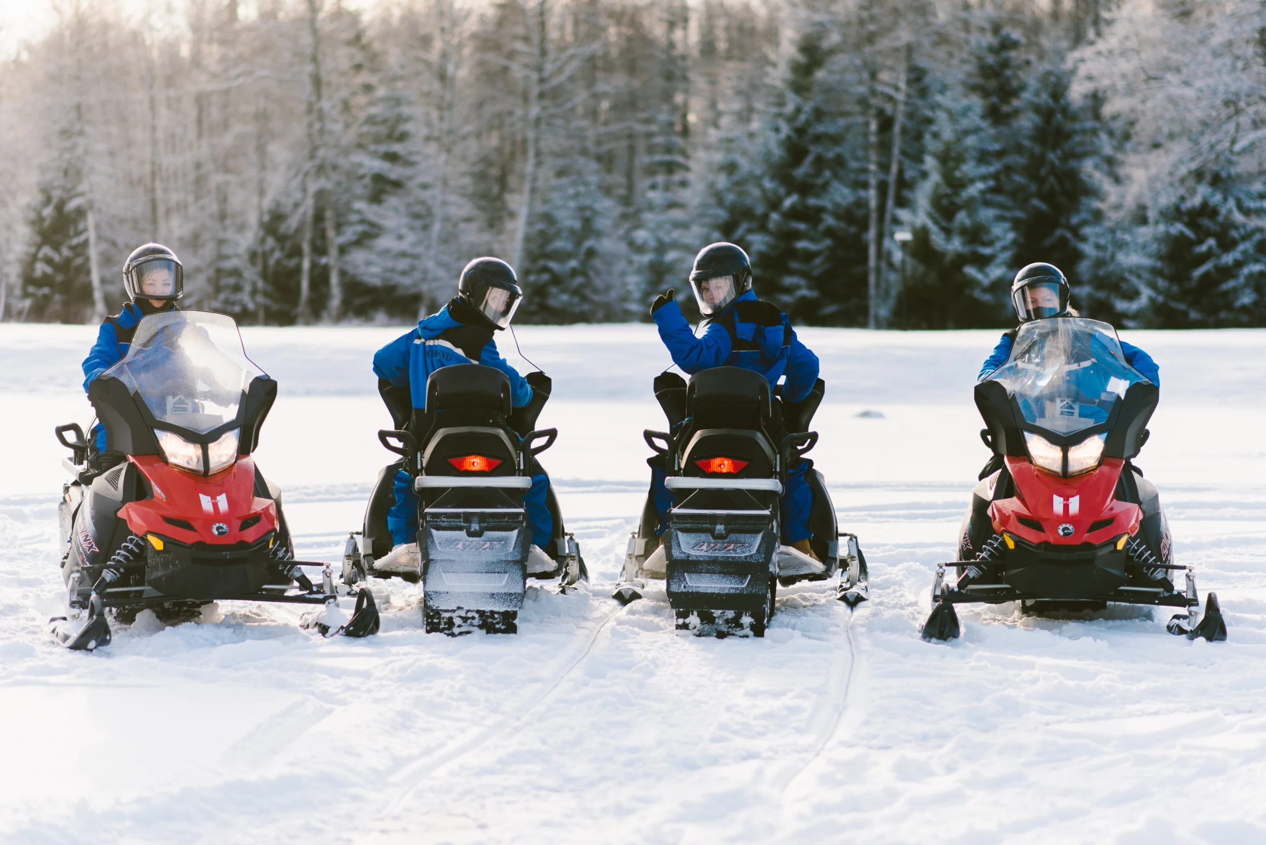 Toosikannu Looduspark meeskonnaüritus ettevõtte üritus