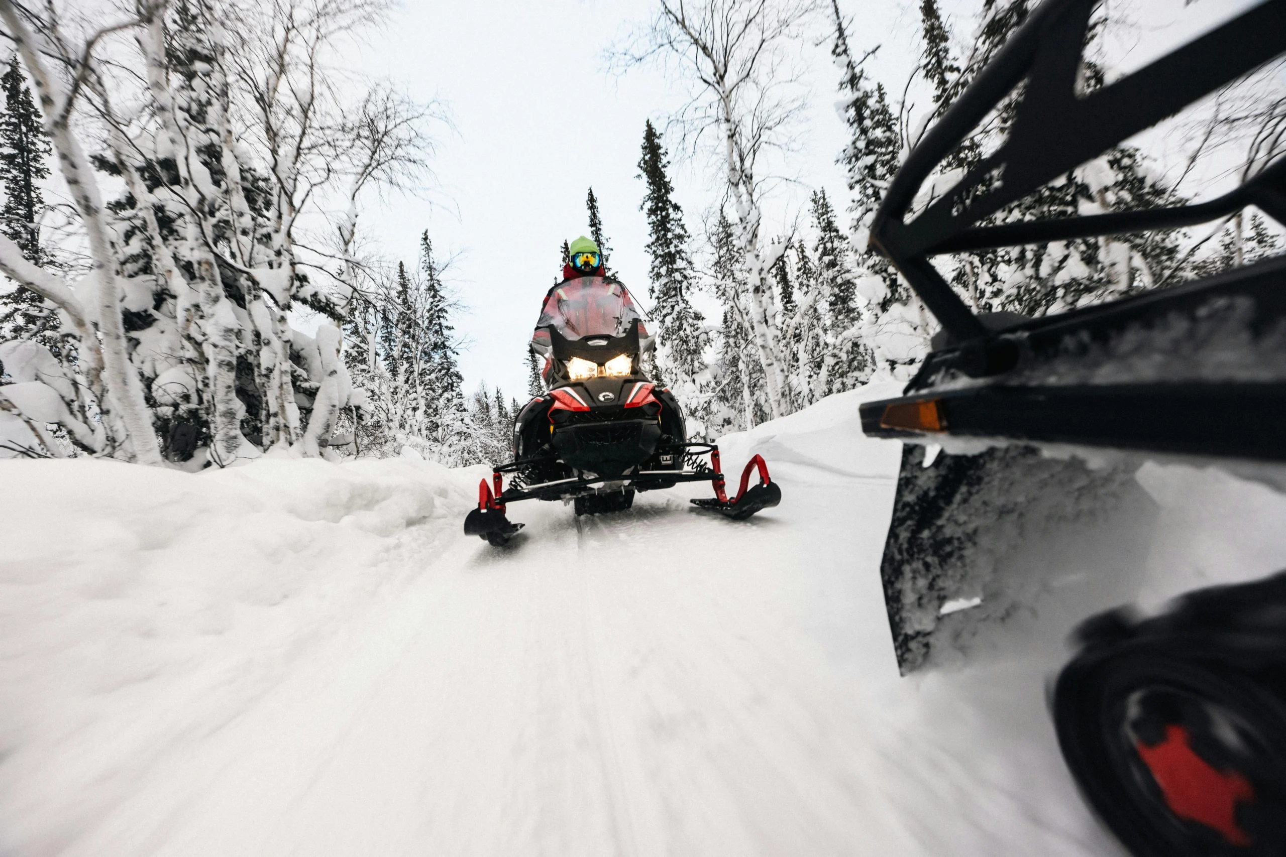 Toosikannu Looduspark mootorsaanimatkad snowmobile tour