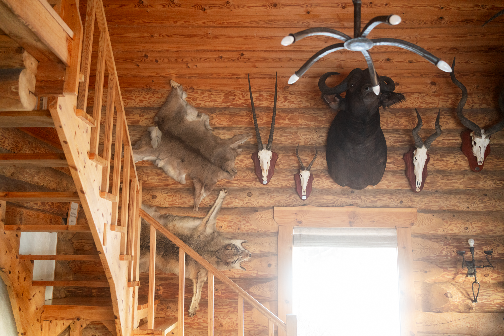 Toosikannu Looduspark Saunamaja rent