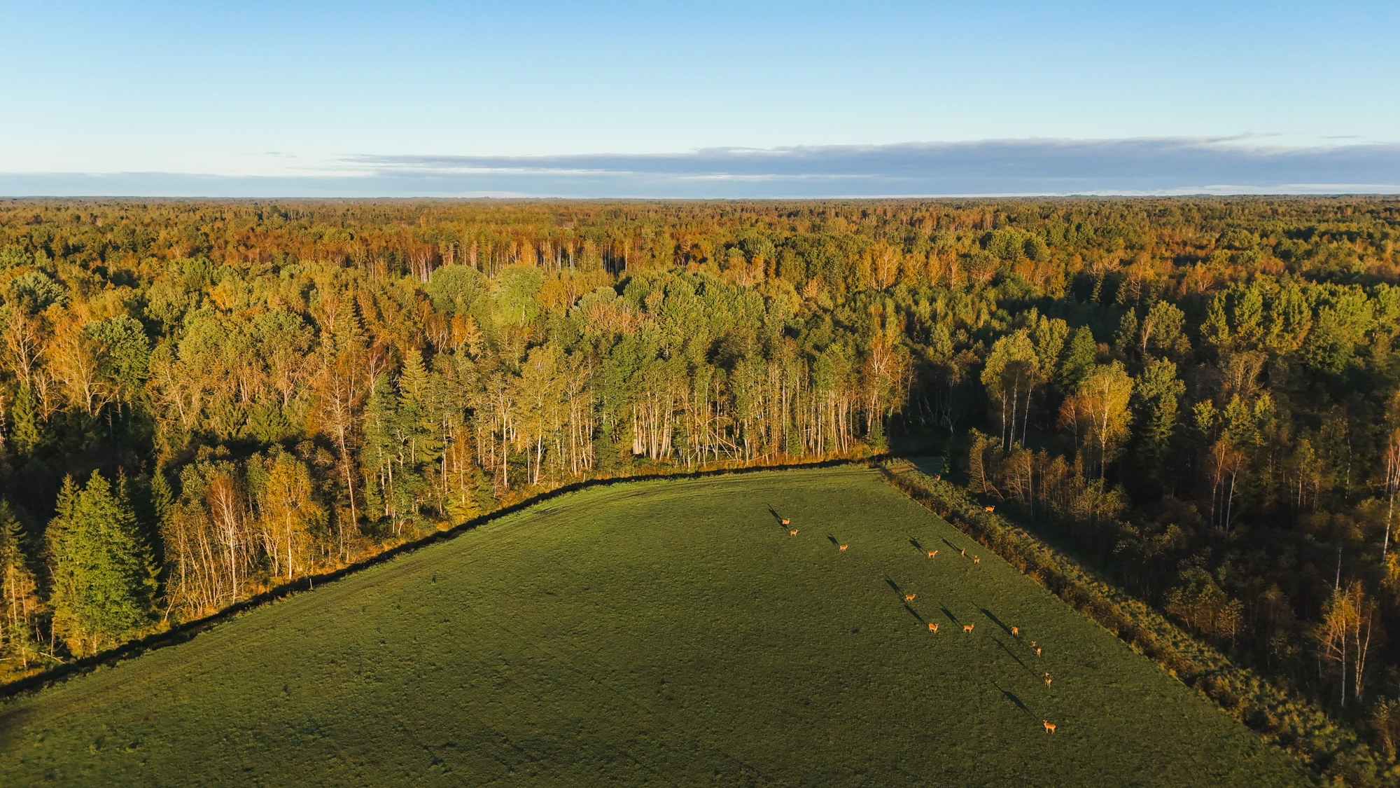 Toosikannu Looduspark Metsloomapark