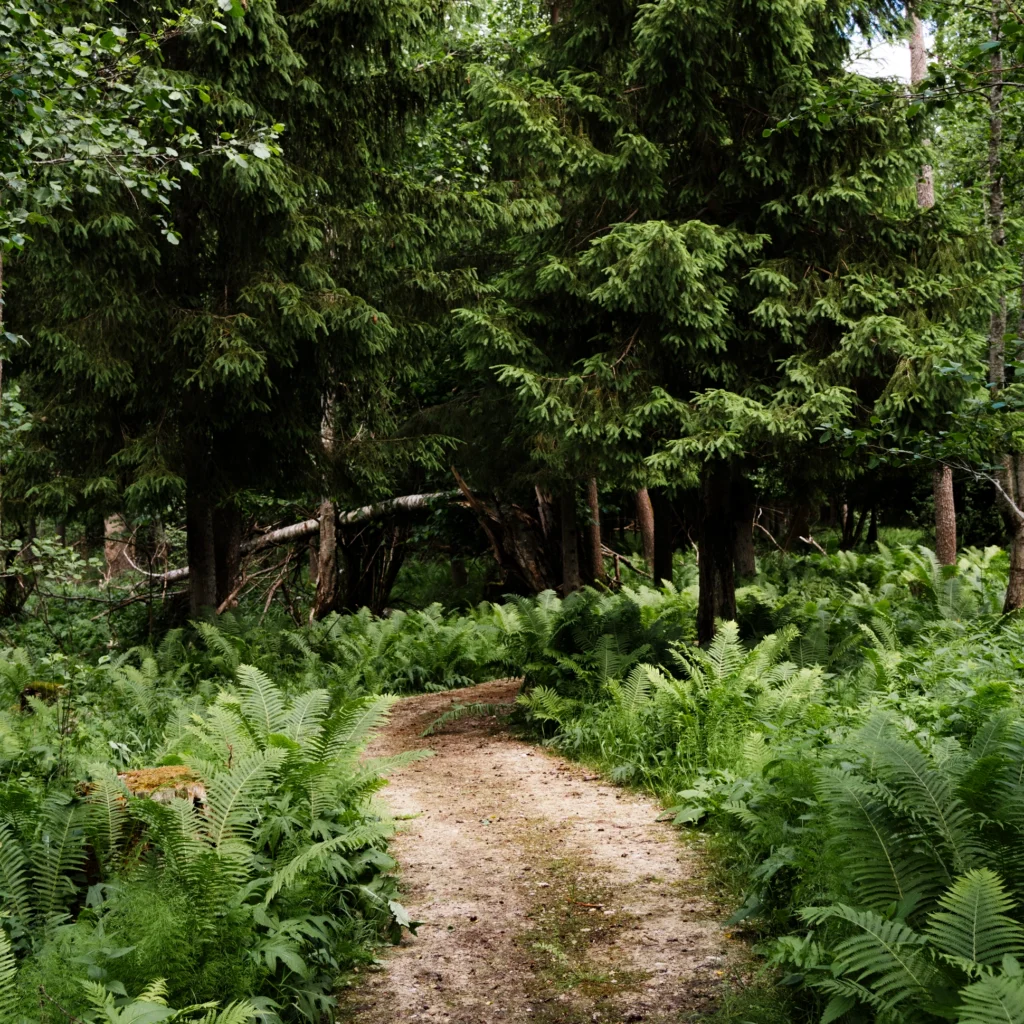 Toosikannu Nature Trail