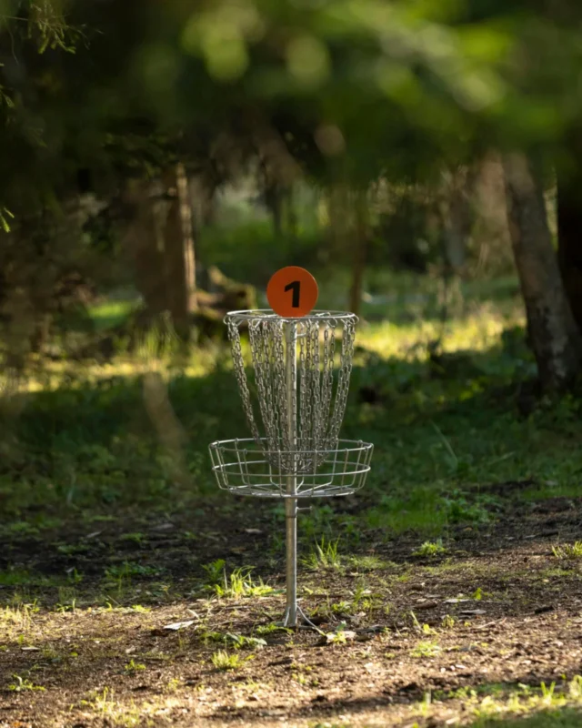 🌲 Discgolf Toosikannu Looduspargis – loodus, liikumine ja lõbu käsikäes! 

Otsid tegevust, mis ühendab värske õhu, sportliku liikumise ja kaunid loodusvaated? Tule proovi kätt Toosikannu Looduspargi 18-rajalisel discgolfi väljakul! 🥏

🌿 Miks tulla just Toosikannusse?
✅ 18 mitmekesist rada keset lummavat loodust
✅ Sobib nii algajale kui ka kogenud mängijale
✅ Kettad saad rentida kohapealt – lihtsalt tule ja mängi!
✅ Võimalus päeva mitmekesistada näiteks matkaga hirvepargis, nautides maitseelamusi meie kohvikus, broneerides sauna järve kaldal või jääda hoopis ööbima

📍 Asume vaid 1,5-tunnise autosõidu kaugusel Tallinnast – põgene rutiinist ja lae oma akud täis!

👉 Lisainfo & broneerimine: toosikannu.ee/discgolf